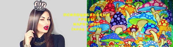 MDMA Premium VHQ Ладушкин