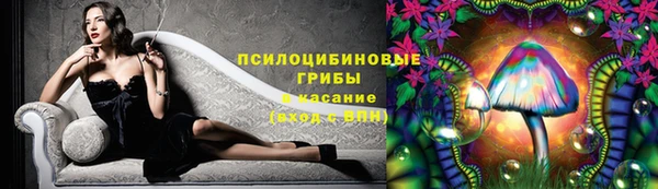 MDMA Premium VHQ Ладушкин