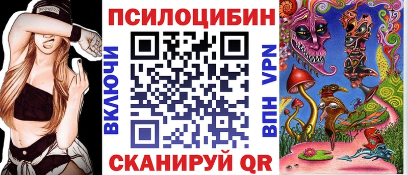 Купить где  Кохма  Галлюциногенные грибы Psilocybe 